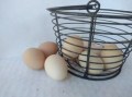 eggs